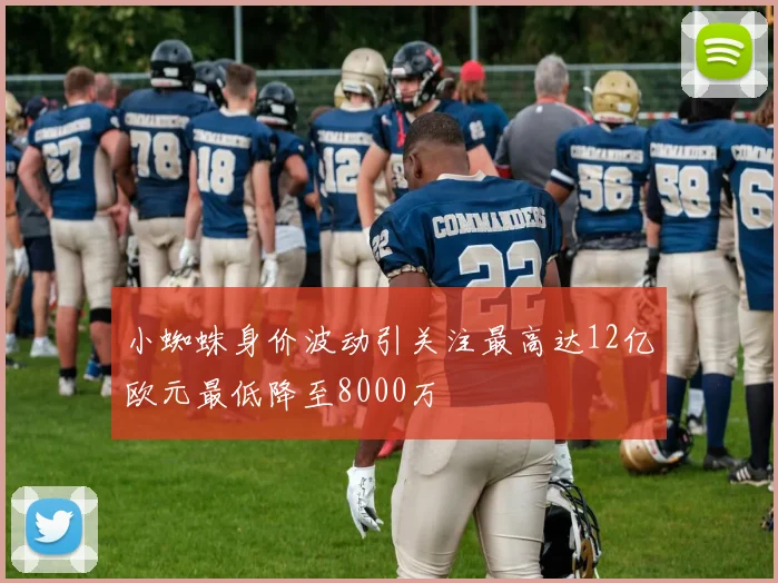 小蜘蛛身价波动引关注最高达12亿欧元最低降至8000万